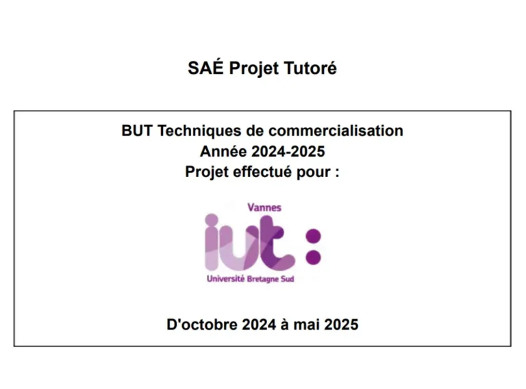 Rapport TC Communication Portfolio Jasmine Orman